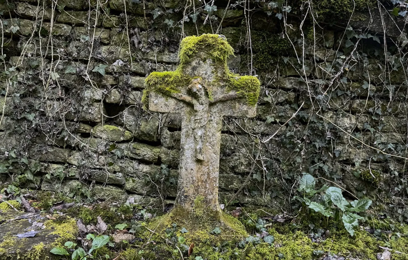 Photo wallpaper moss, cross, cemetery