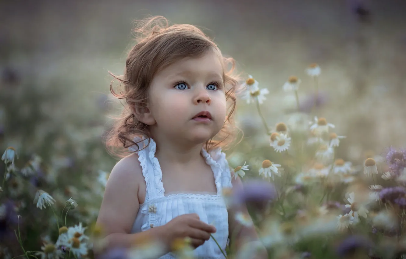 Photo wallpaper flowers, nature, chamomile, girl, baby, child, sundress, Marta Obiegla