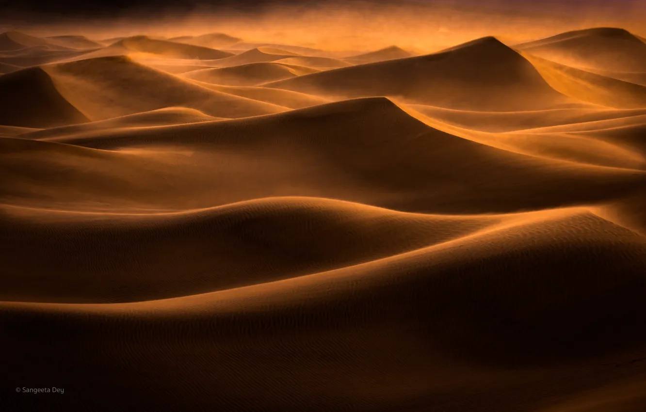 Photo wallpaper sand, the dunes, the wind, desert, dunes, Sands