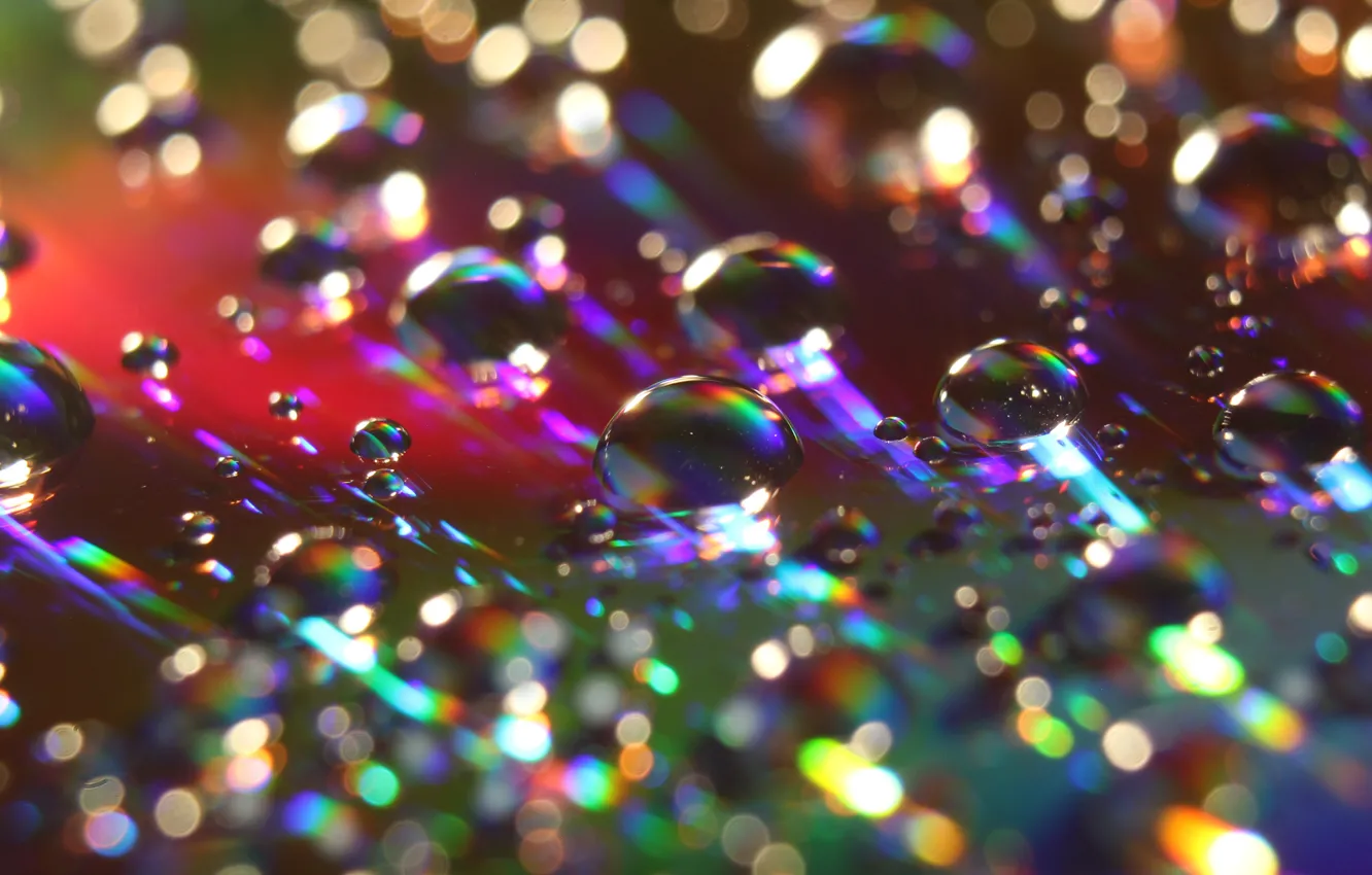 Photo wallpaper drop, water, macro, color