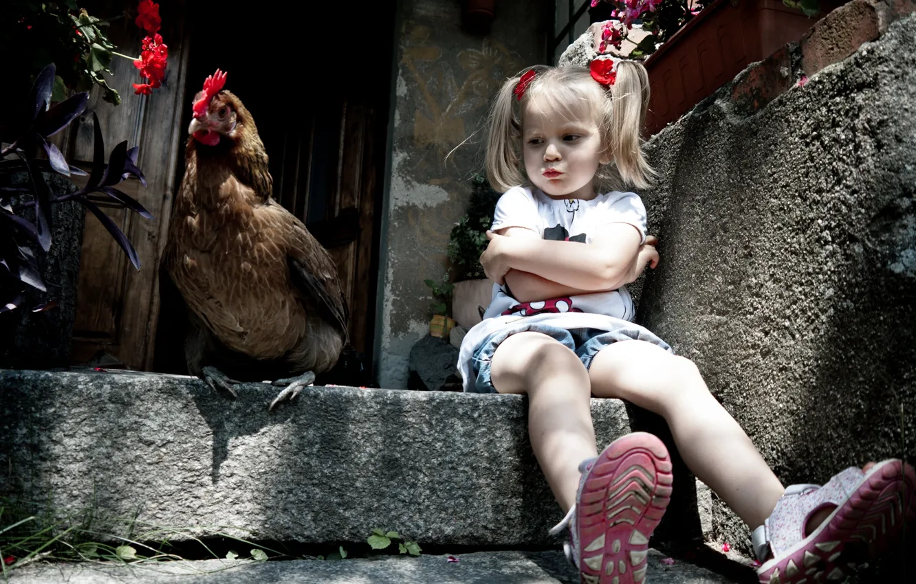 Photo wallpaper the situation, chicken, girl