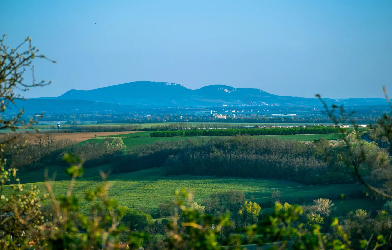 Photo wallpaper greens, field, forest, summer, the sky, light, trees, mountains
