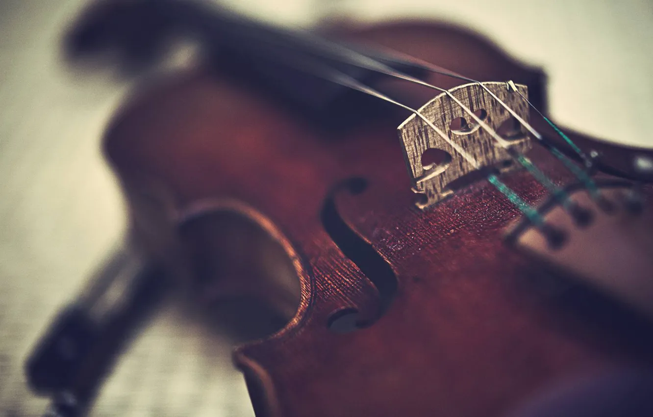 Photo wallpaper violin, Music, tool