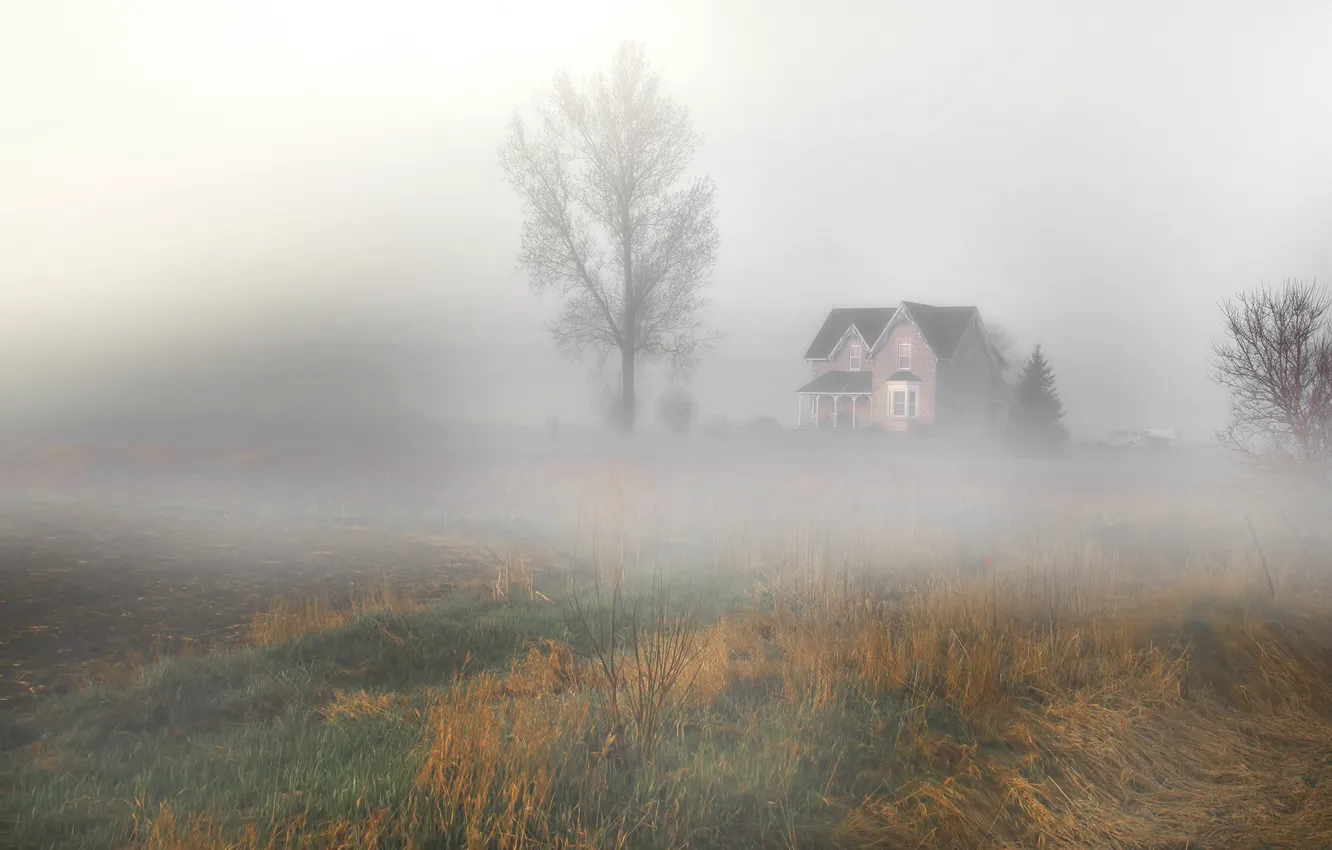 Photo wallpaper field, landscape, nature, fog, house, tree