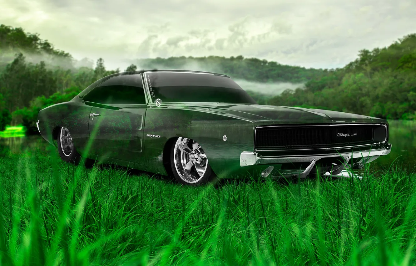 Photo wallpaper grass, nature, design, transparent, green, style, green, Wallpaper