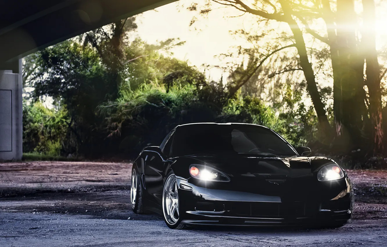 Photo wallpaper the sun, trees, glare, black, Z06, Corvette, Chevrolet, Chevrolet