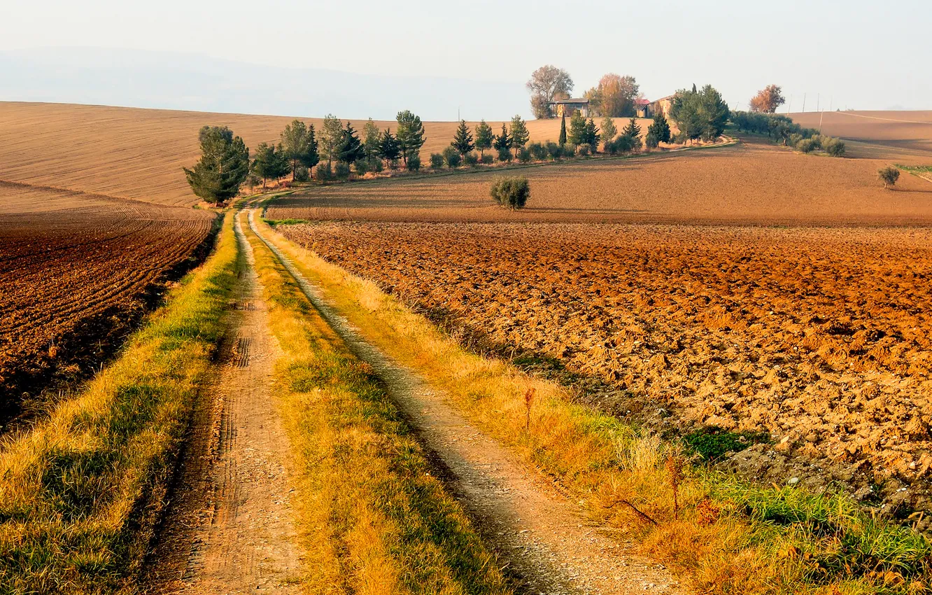 Photo wallpaper road, field, the sky, trees, house, Italy