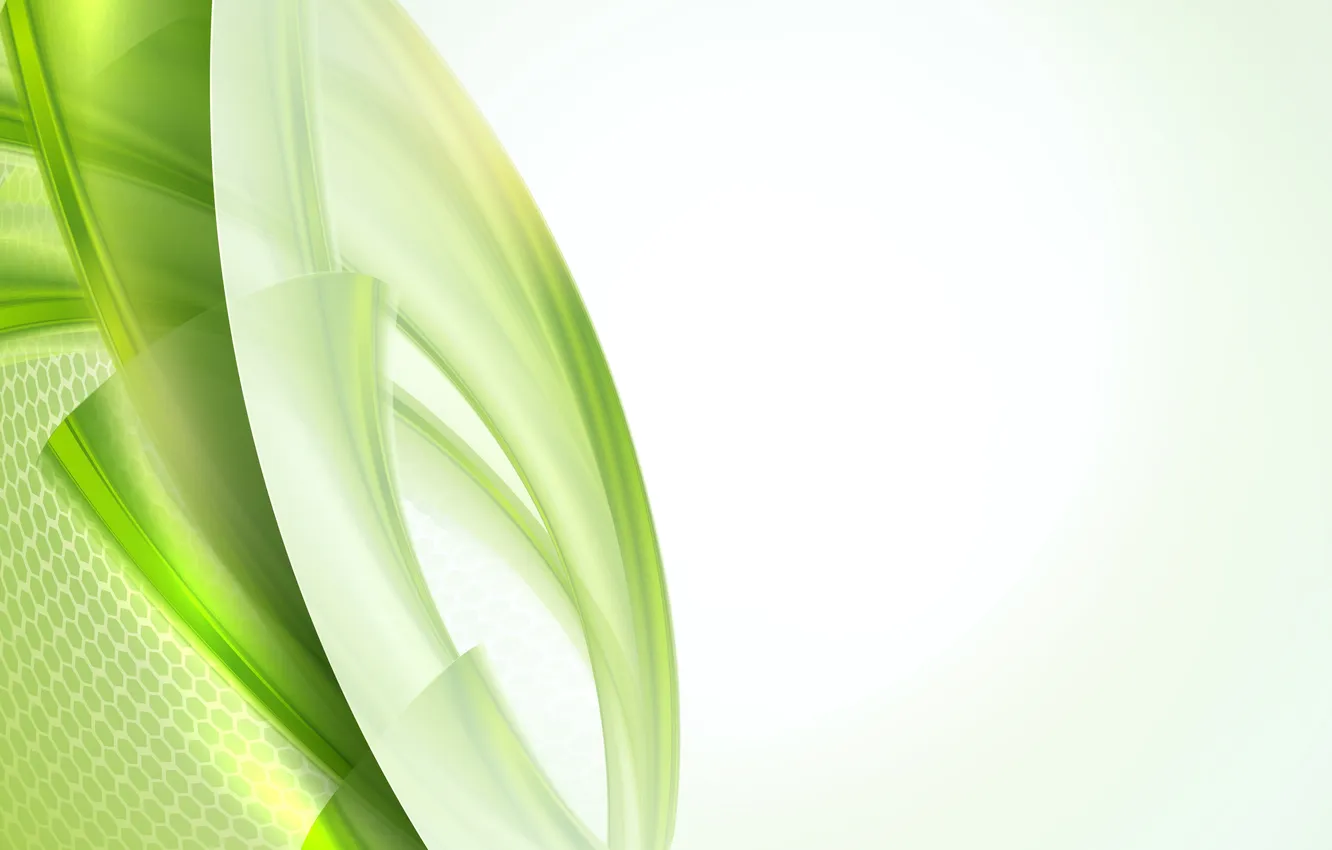 Photo wallpaper line, pattern, green abstraction