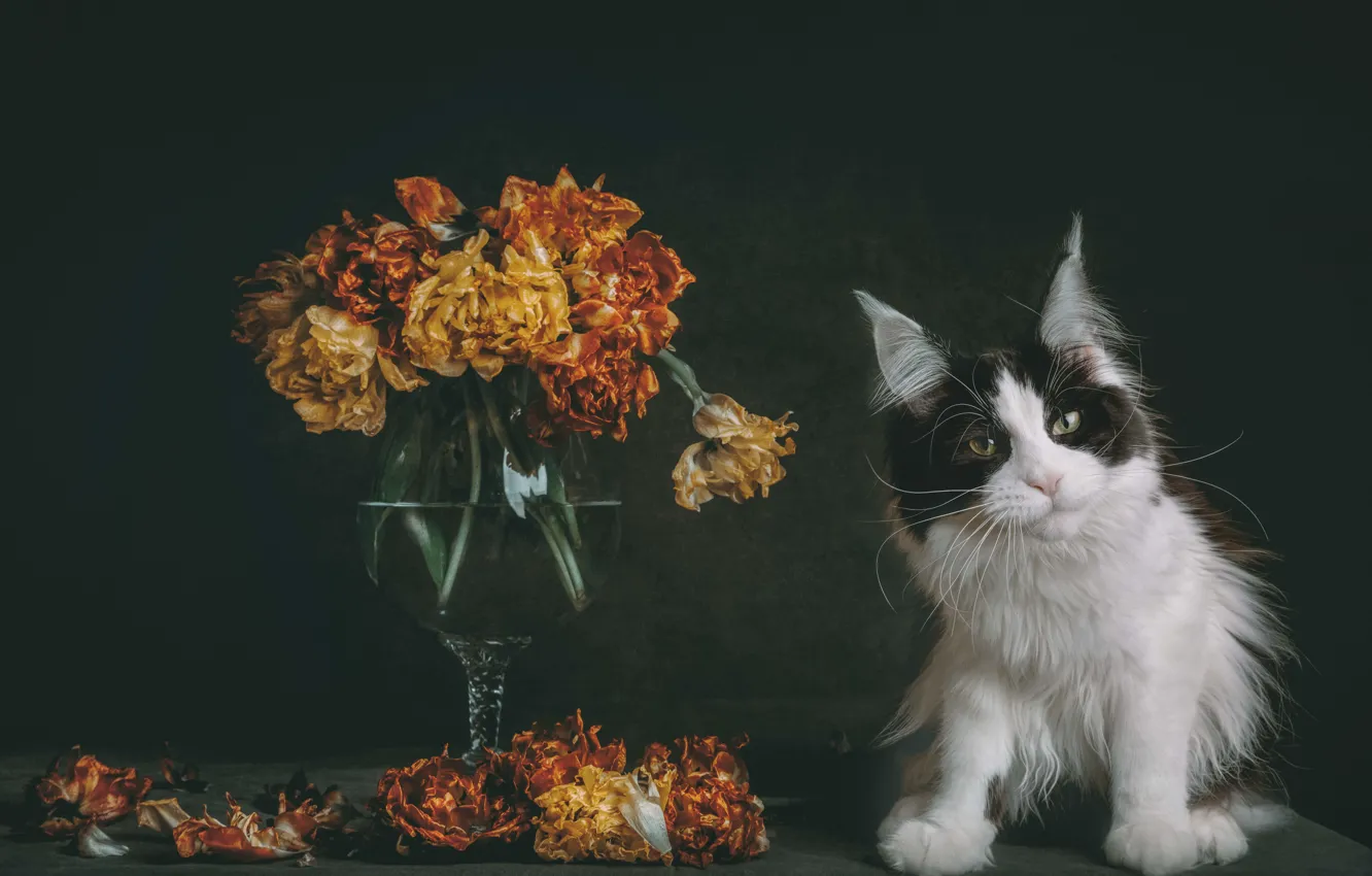 Photo wallpaper cat, cat, flowers, lies