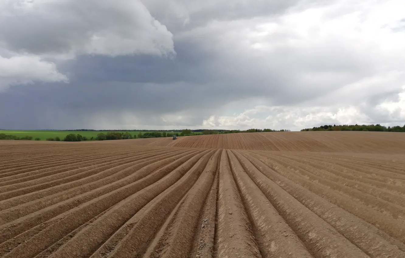 Photo wallpaper field, earth, tractor, arable land, seeding