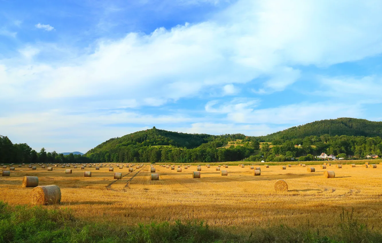 Photo wallpaper field, hills, hay, bales, Kip