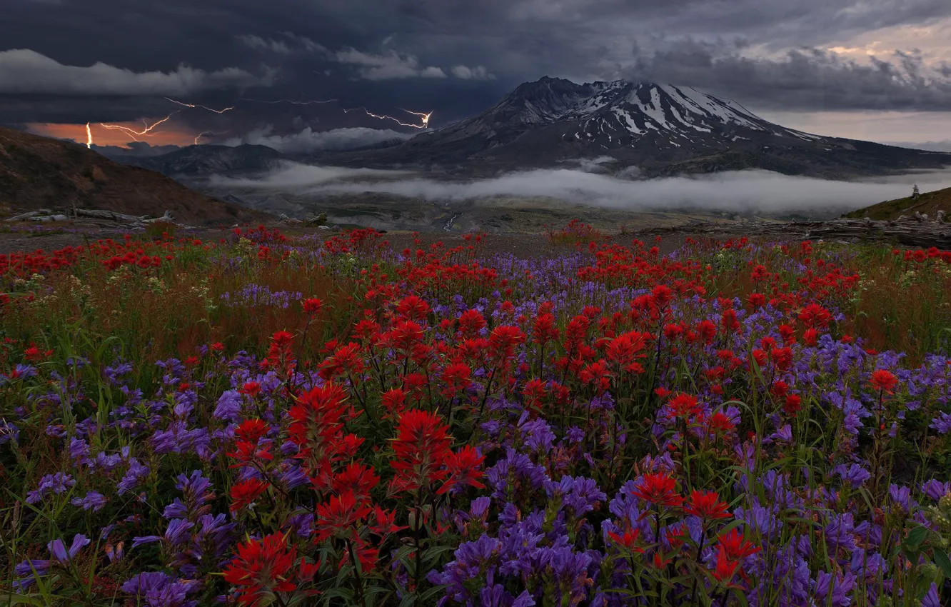 Photo wallpaper flowers, mountains, clouds, zipper