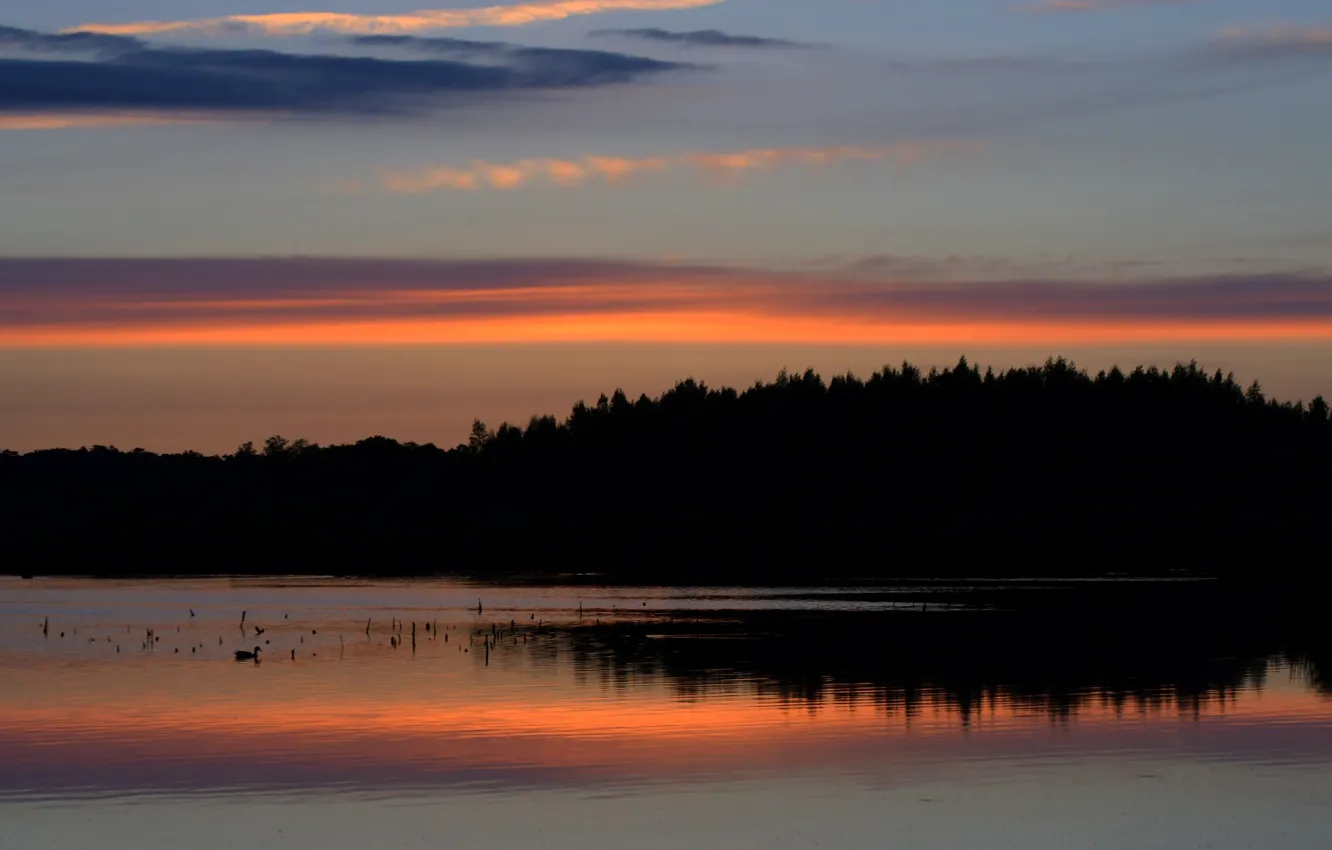 Photo wallpaper sunset, silhouette, water, the evening