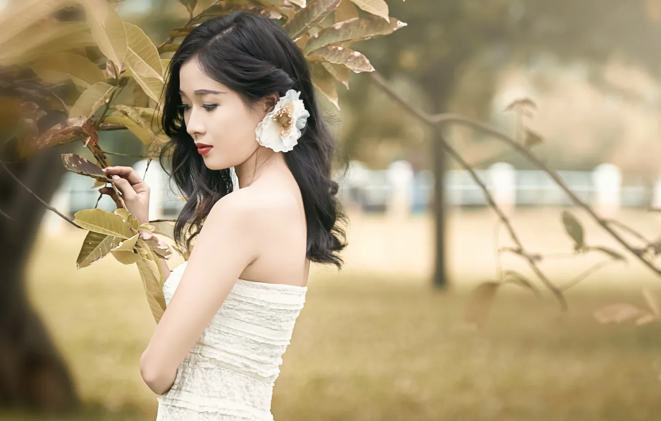 Photo wallpaper girl, background, Asian