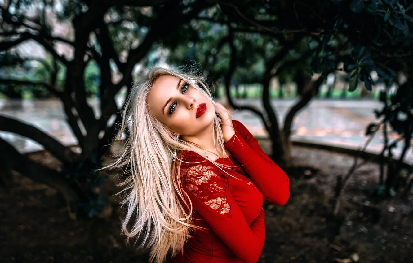 Photo wallpaper makeup, sponge, in red, Harmony of Red