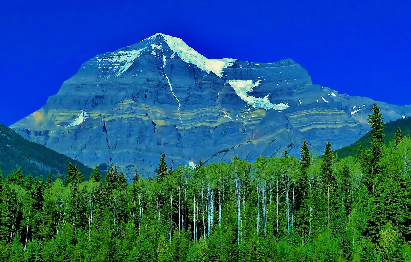 Photo wallpaper forest, the sky, trees, mountains