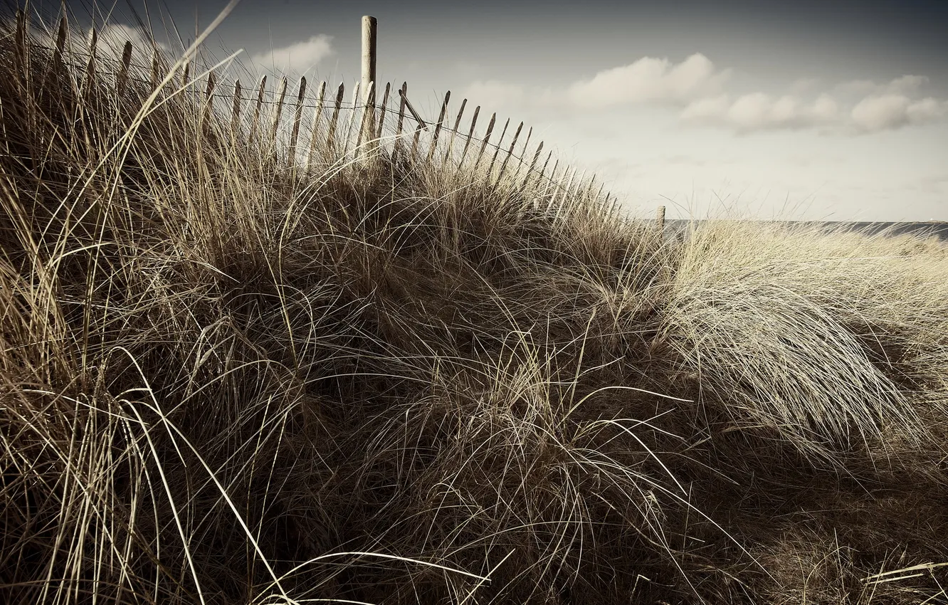 Photo wallpaper sea, grass, landscape, the fence