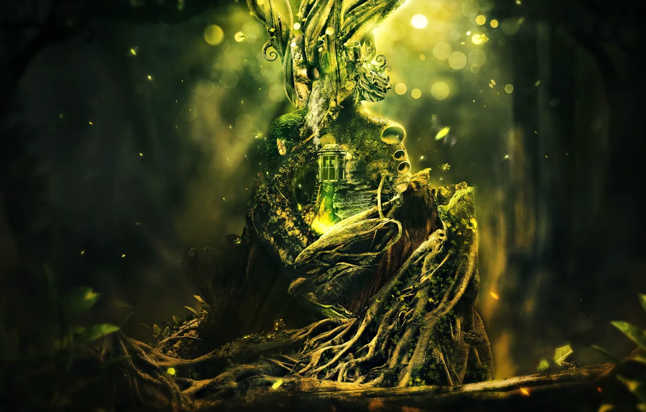 Photo wallpaper greens, grass, trees, roots, home, sparks, plexus, desktopography