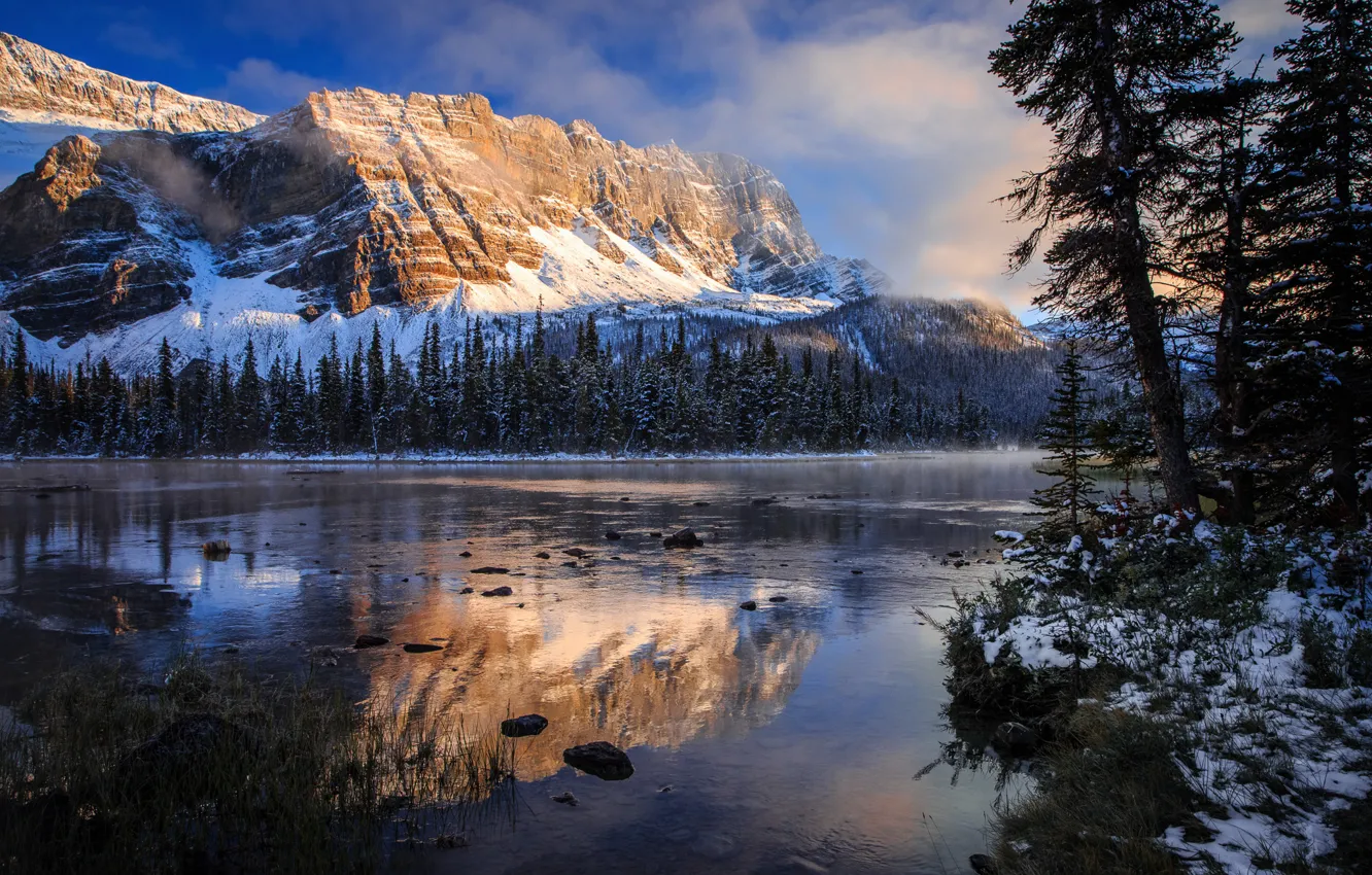 Photo wallpaper autumn, reflection, lake, morning, Canada, Rocky mountains, Banff national Park, Bow