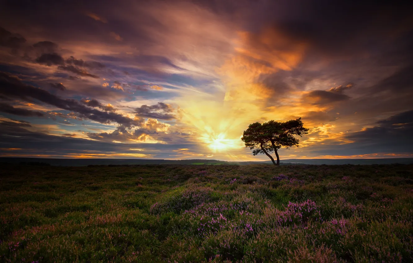 Photo wallpaper the sky, clouds, dawn, England, morning, North Yorkshire, North Yorkshire Moors