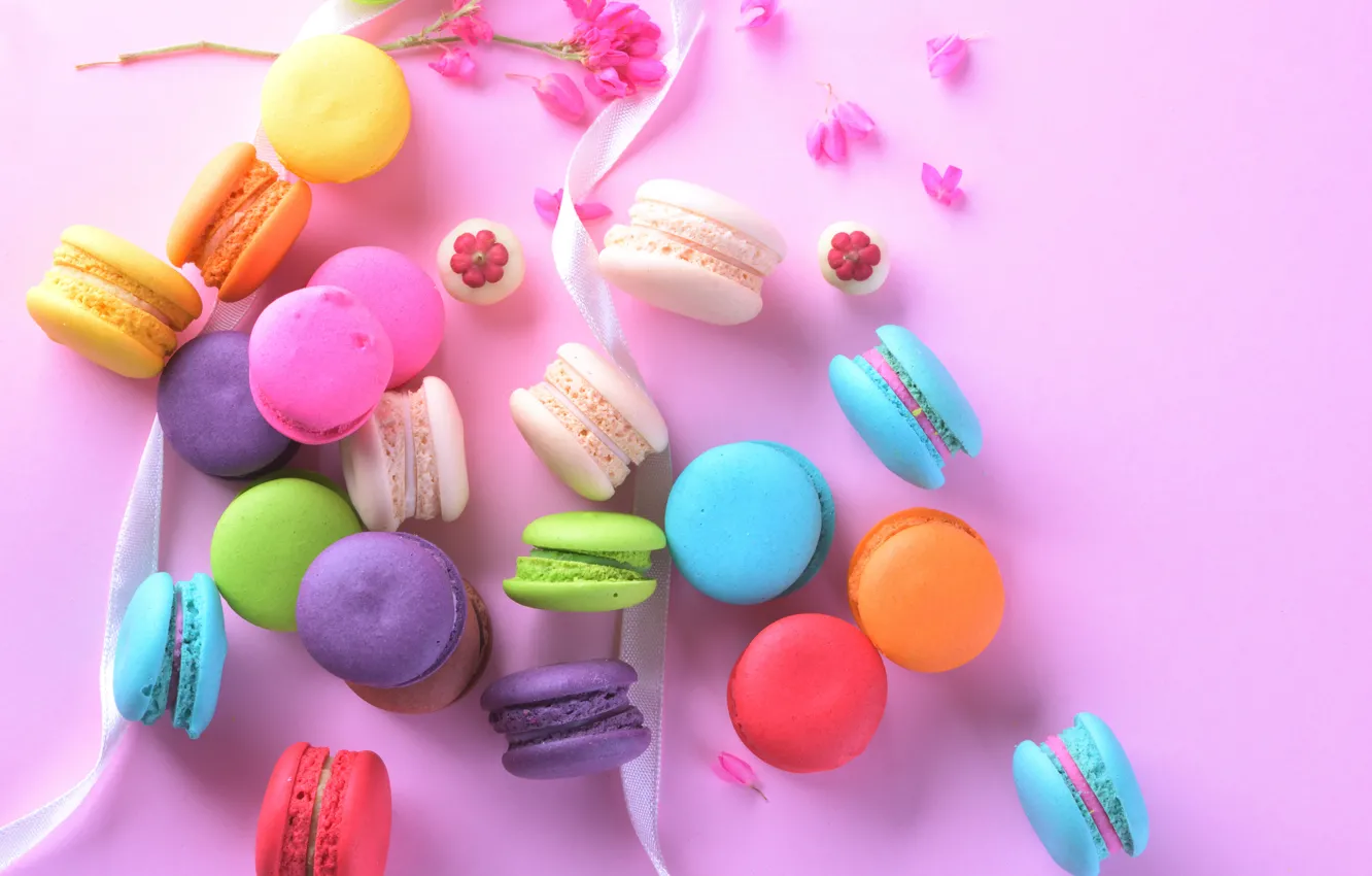 Photo wallpaper flowers, tape, sweets, cake, cakes, macaroon