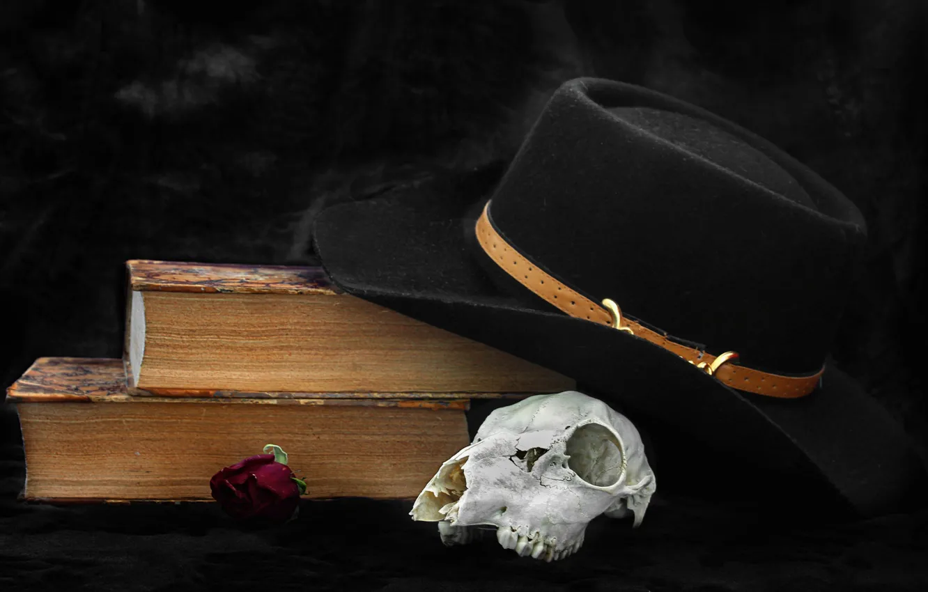 Photo wallpaper skull, hat, book