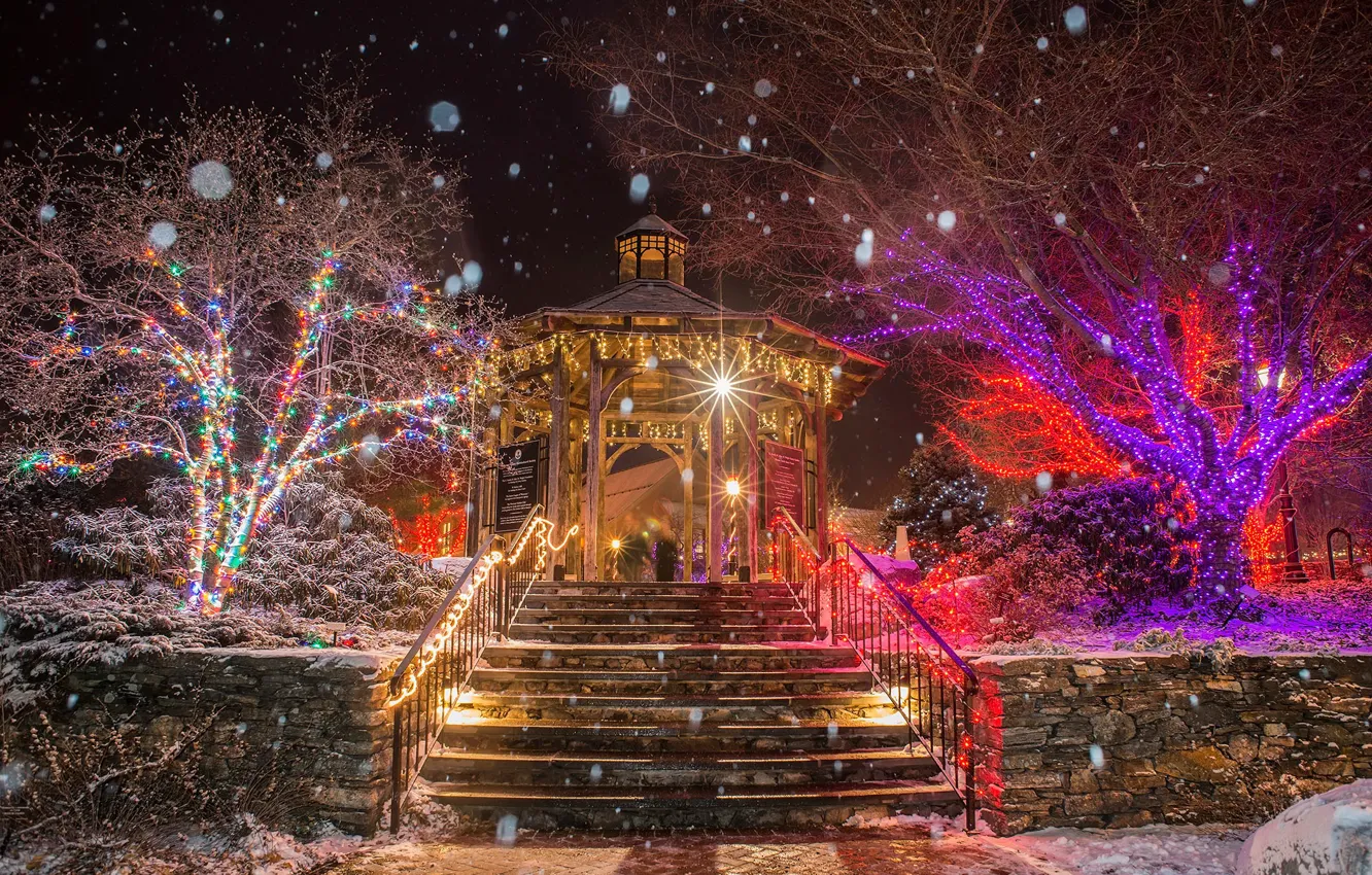 Photo wallpaper winter, snow, trees, snowflakes, night, lights, Park, holiday