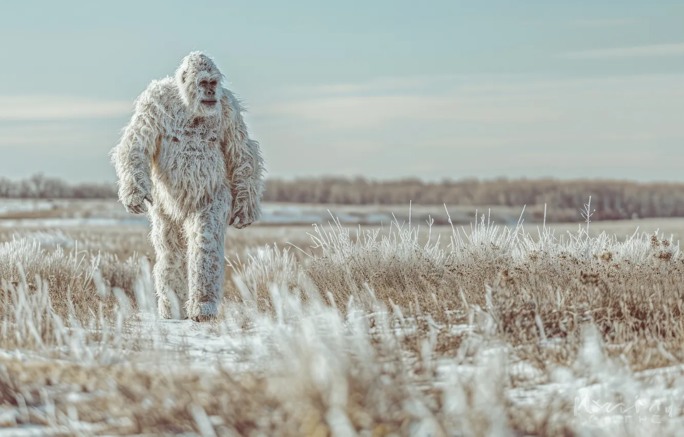 Photo wallpaper winter, field, snow, being, Yeti, Bigfoot, digital art, Bigfoot