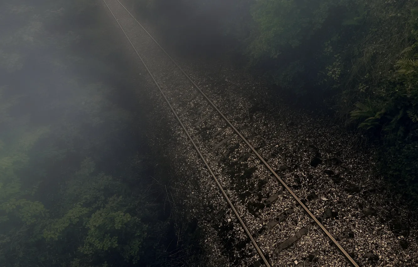 Photo wallpaper forest, night, fog, railroad