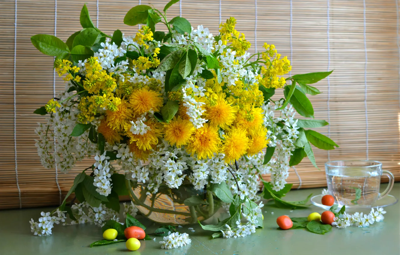 Photo wallpaper water, dandelion, bouquet, candy, Cup, luxury, pills, cherry