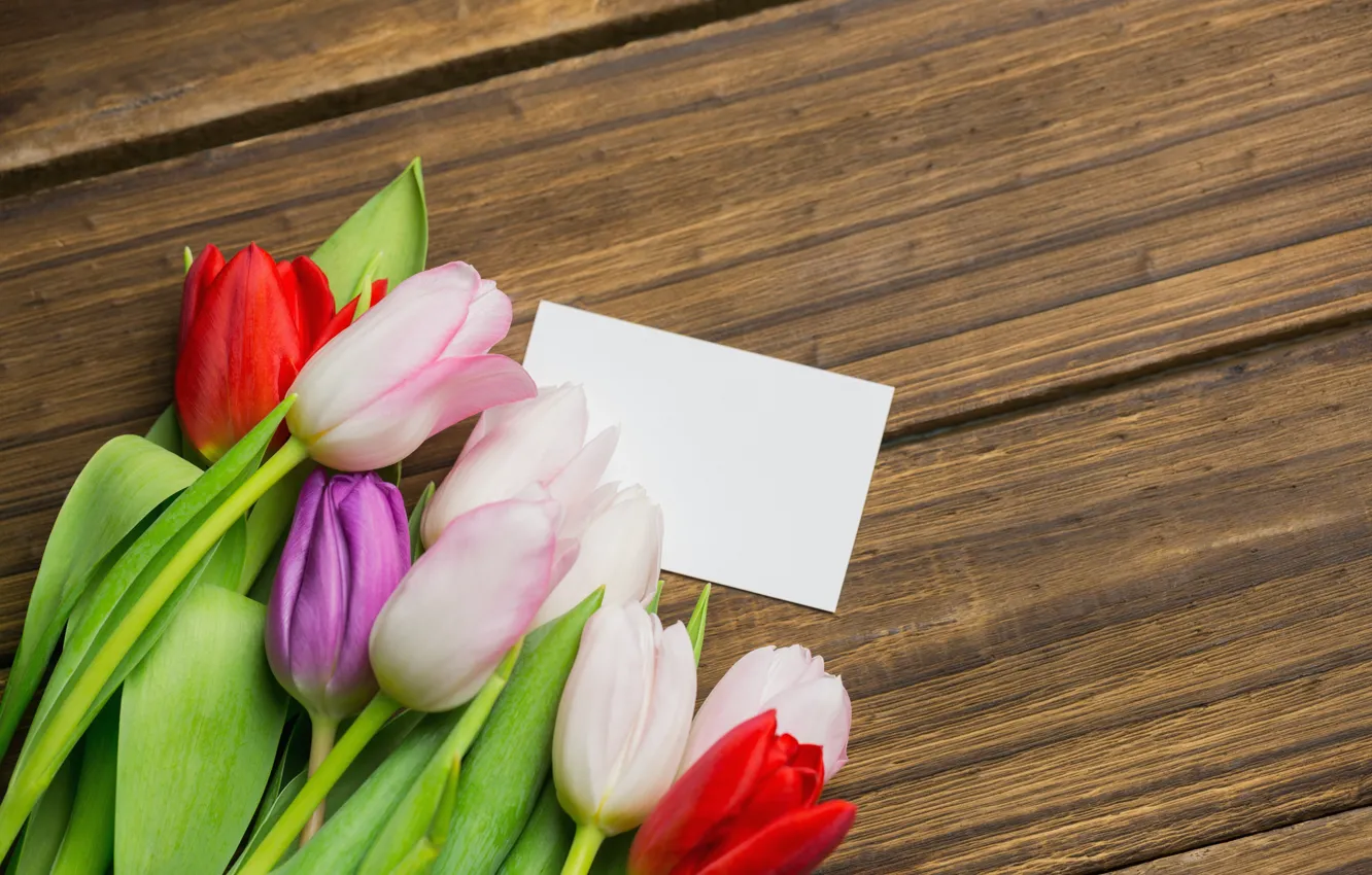 Photo wallpaper flowers, bouquet, colorful, tulips, red, white, wood, flowers
