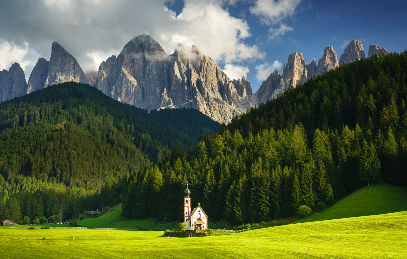 Photo wallpaper grass, forest, sky, trees, field, landscape, nature, Germany