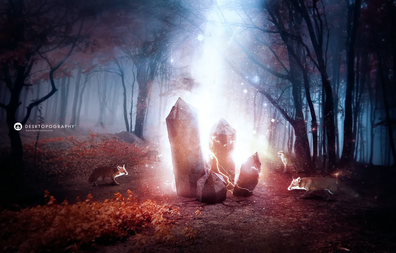 Photo wallpaper forest, magic, Fox, crystals, desktopography