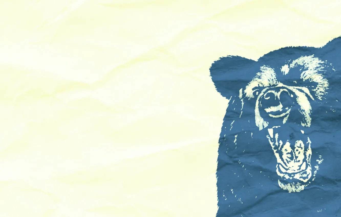 Photo wallpaper bear, bear, Russia