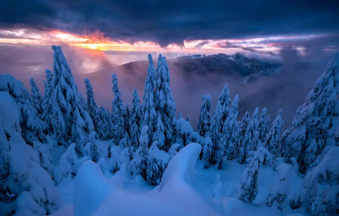 Photo wallpaper winter, snow, night
