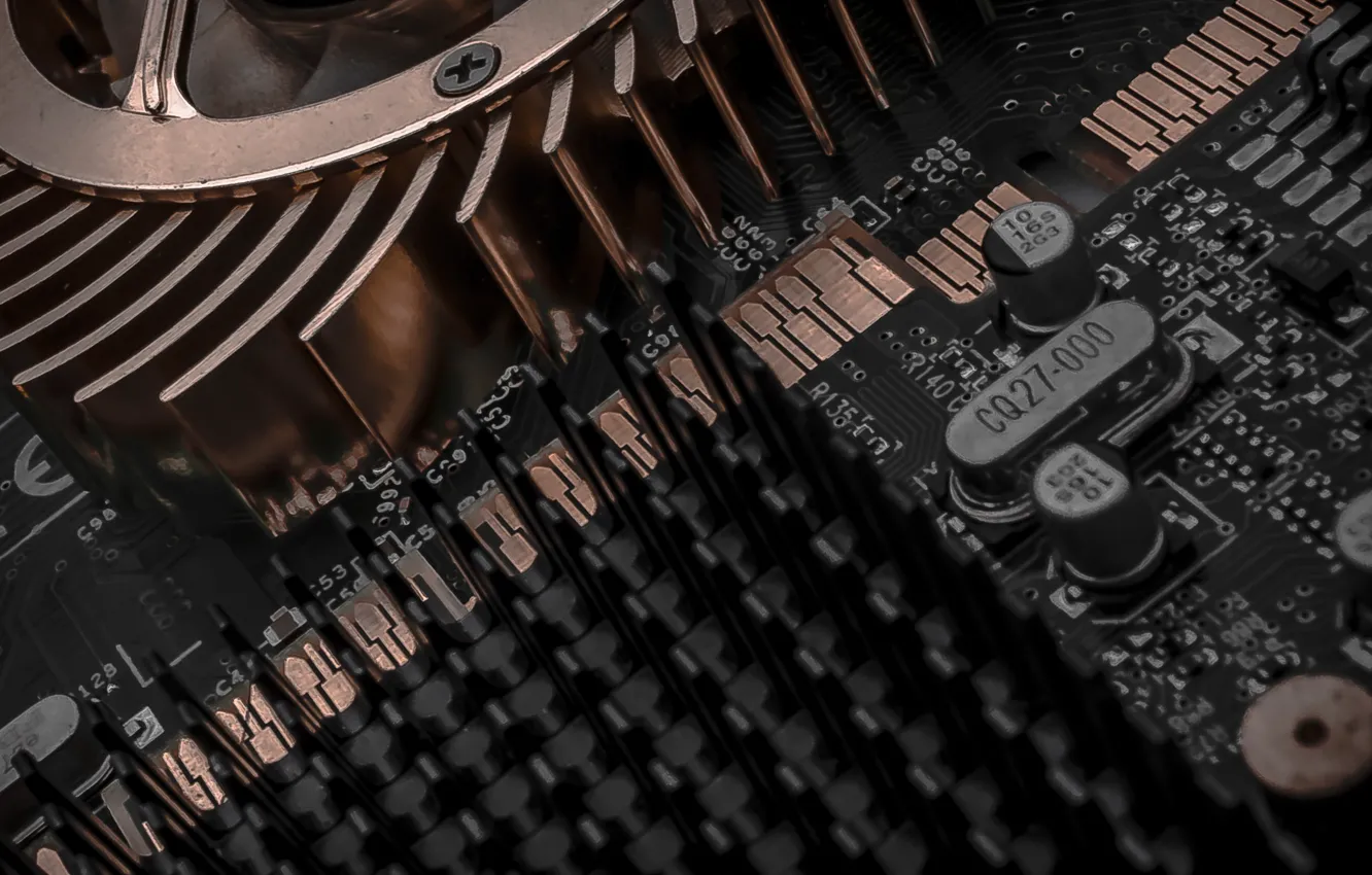 Photo wallpaper macro, background, fee