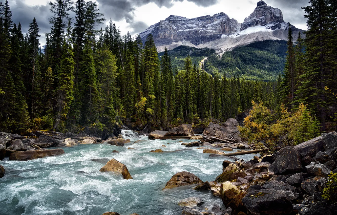 Photo wallpaper forest, landscape, mountains, nature, river, stones, thresholds