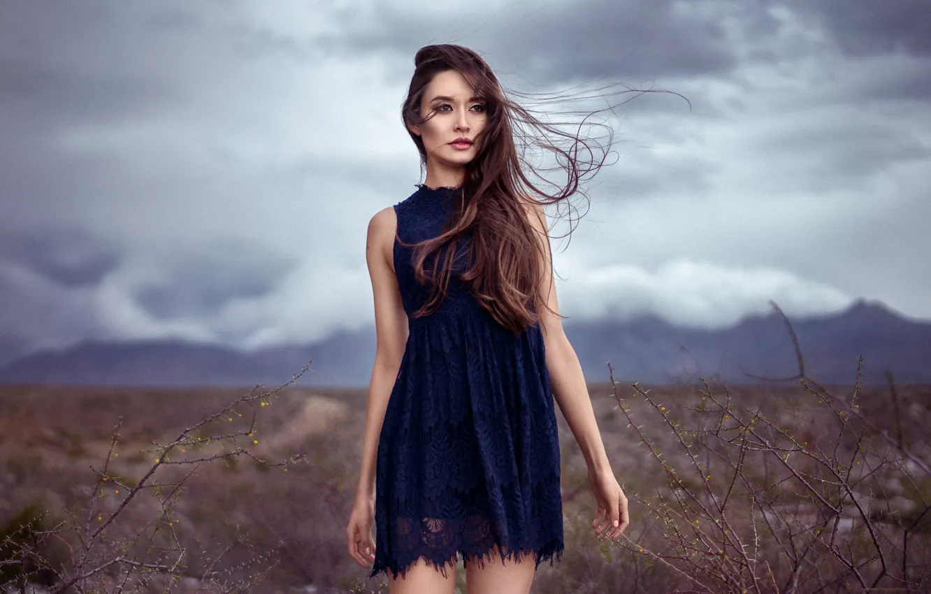 Photo wallpaper background, the wind, model, hair, dress, beauty, Sabrina