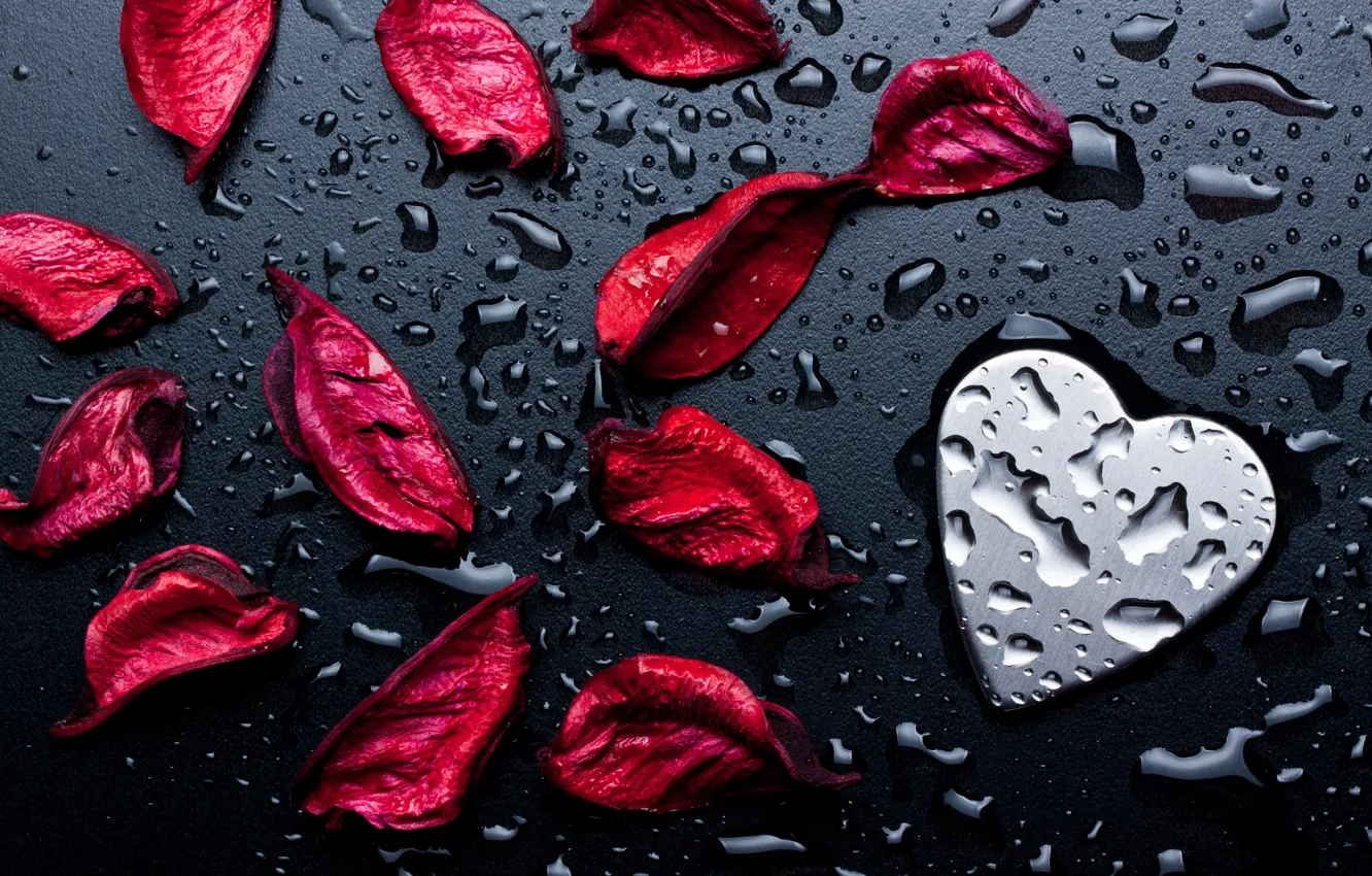 Photo wallpaper drops, petals, heart