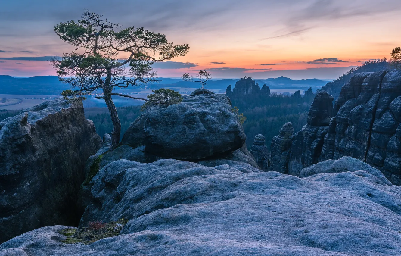 Photo wallpaper the sky, clouds, trees, landscape, sunset, mountains, nature, fog