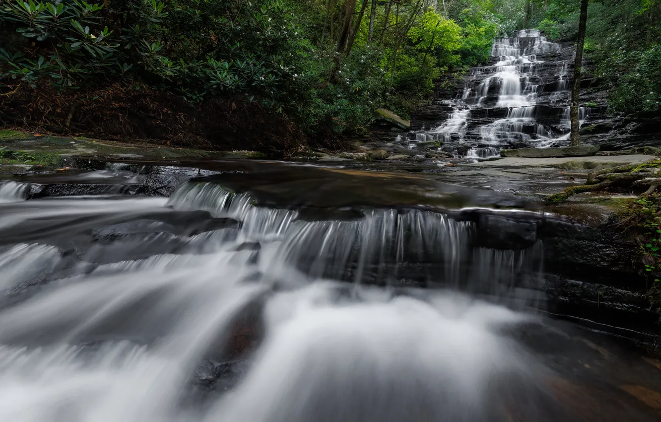 Photo wallpaper forest, stones, rocks, shore, foliage, waterfall, stream
