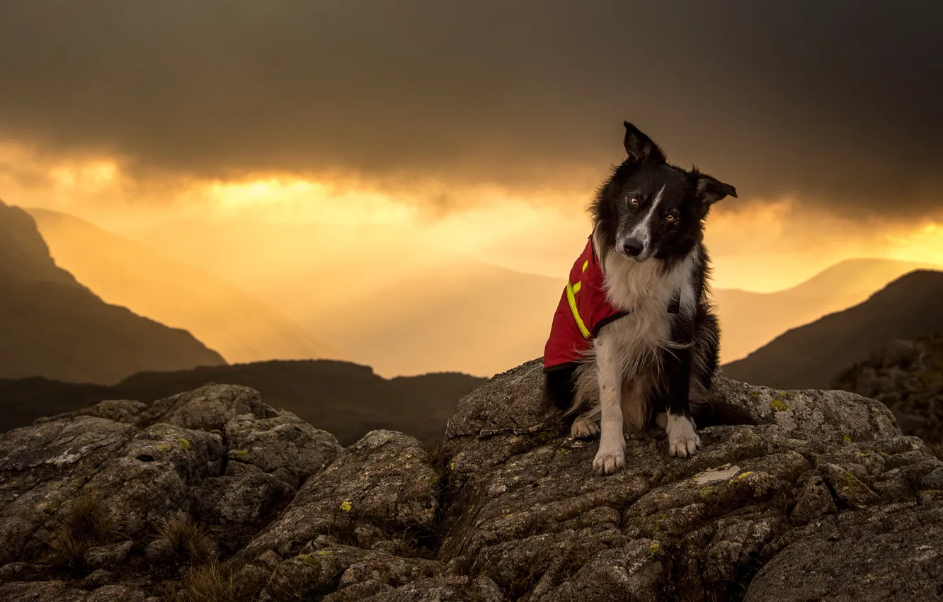 Photo wallpaper the sky, look, face, light, sunset, mountains, clouds, nature