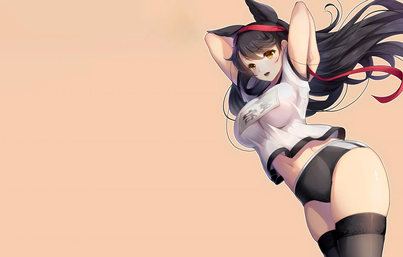 Photo wallpaper girl, sexy, shorts, thighhighs, long hair, boobs, animal ears, anime