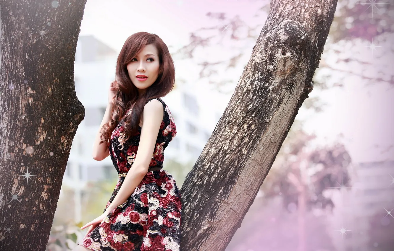 Photo wallpaper girl, background, Asian