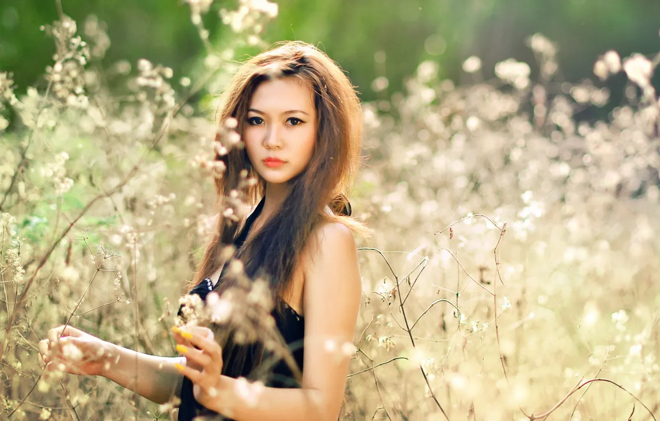 Photo wallpaper summer, girl, nature