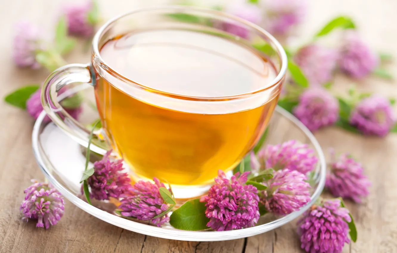 Photo wallpaper flowers, tea, Cup, clover, drink, saucer