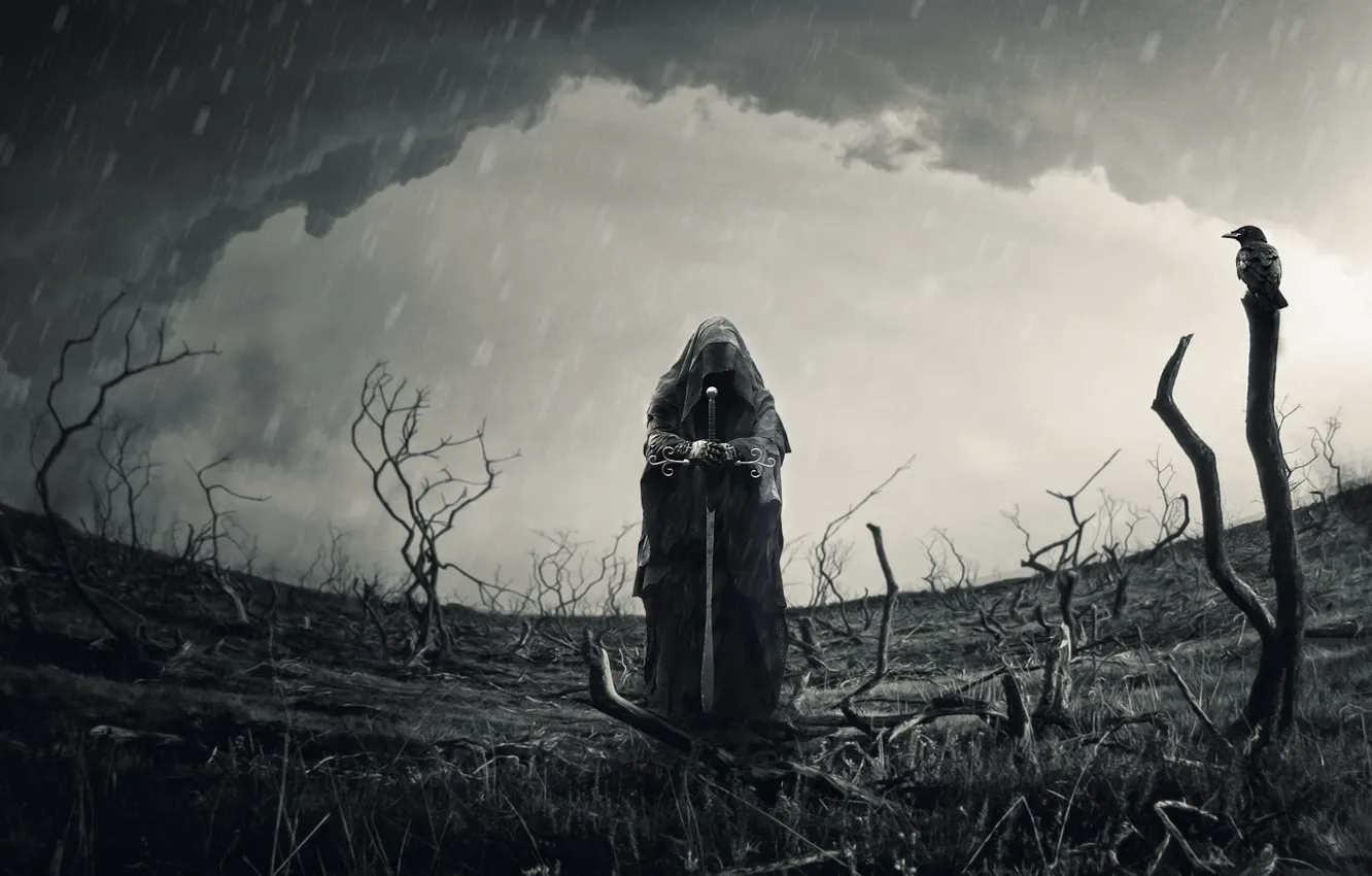 Photo wallpaper field, the sky, branches, people, sword, warrior, Raven, Rob