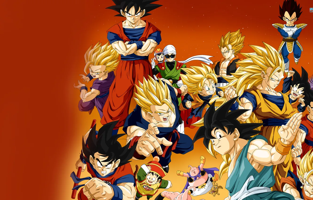 Photo wallpaper anime, dragon, ball, Best