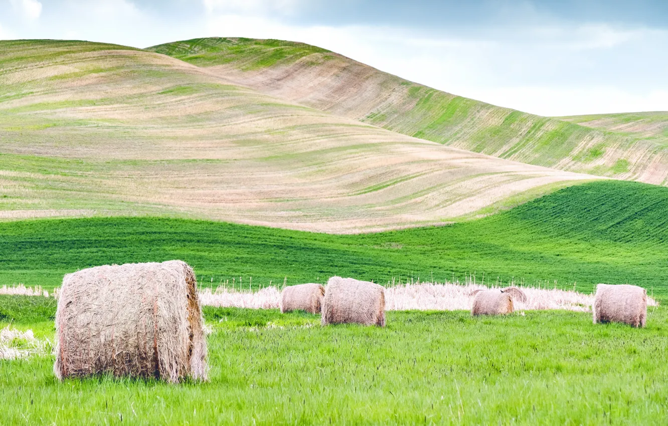 Photo wallpaper mountains, hills, hay, bales