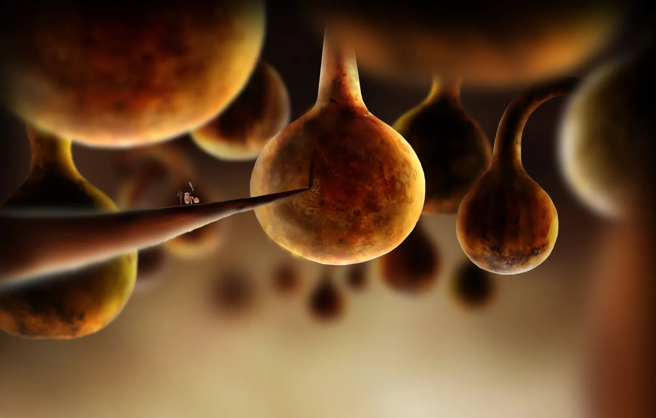 Photo wallpaper being, hike, characters, botanicula